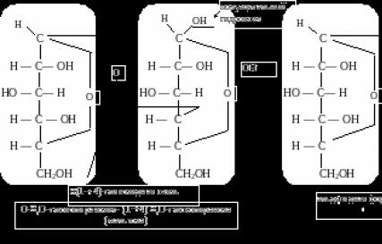 Модуль II Занятие “ Биологически активные моно-, ди- и полисахариды