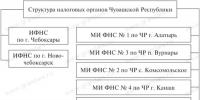 Ministerstvo Ruskej federácie pre dane a poplatky;  úlohy, funkcie